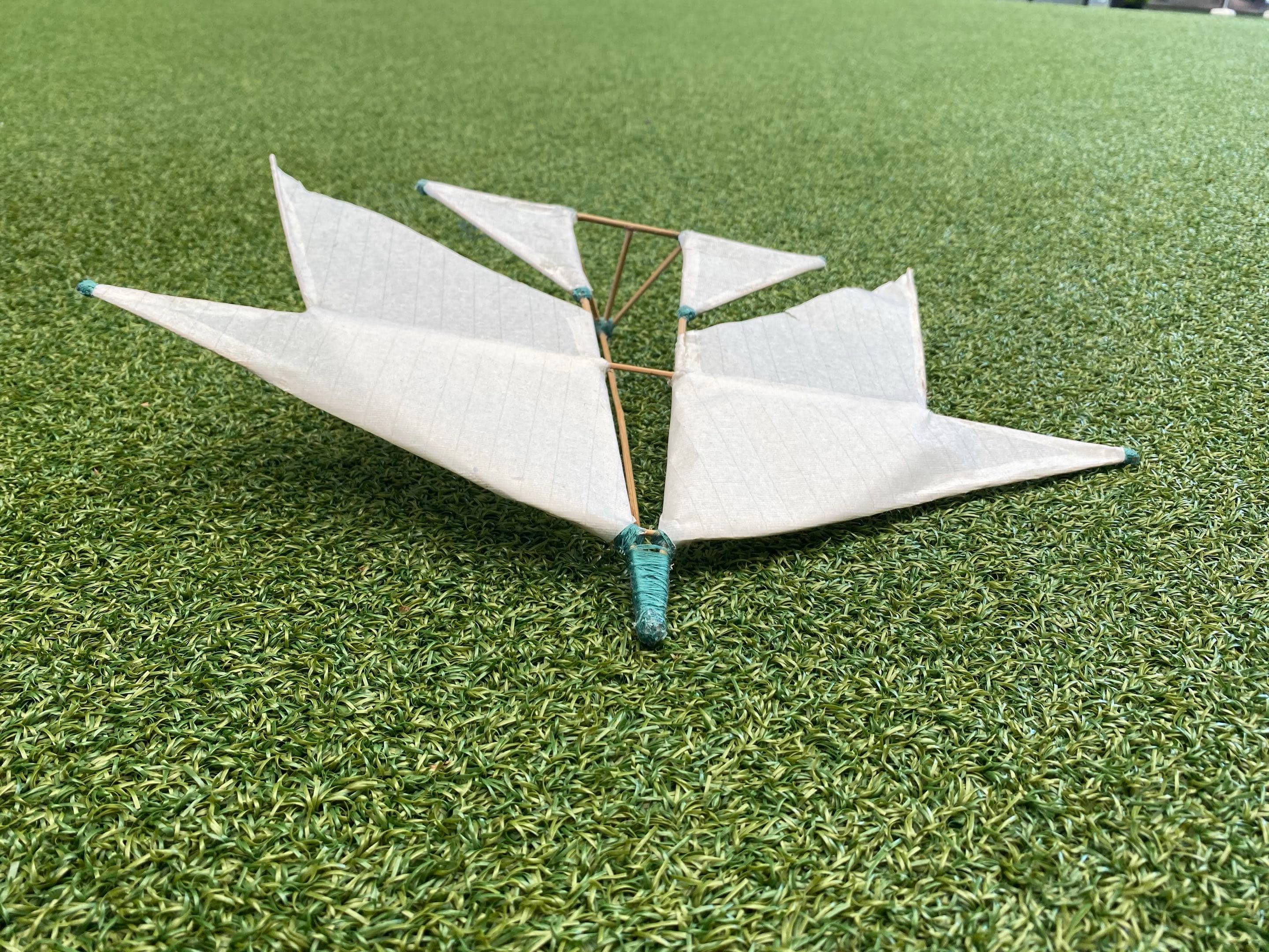 Plane