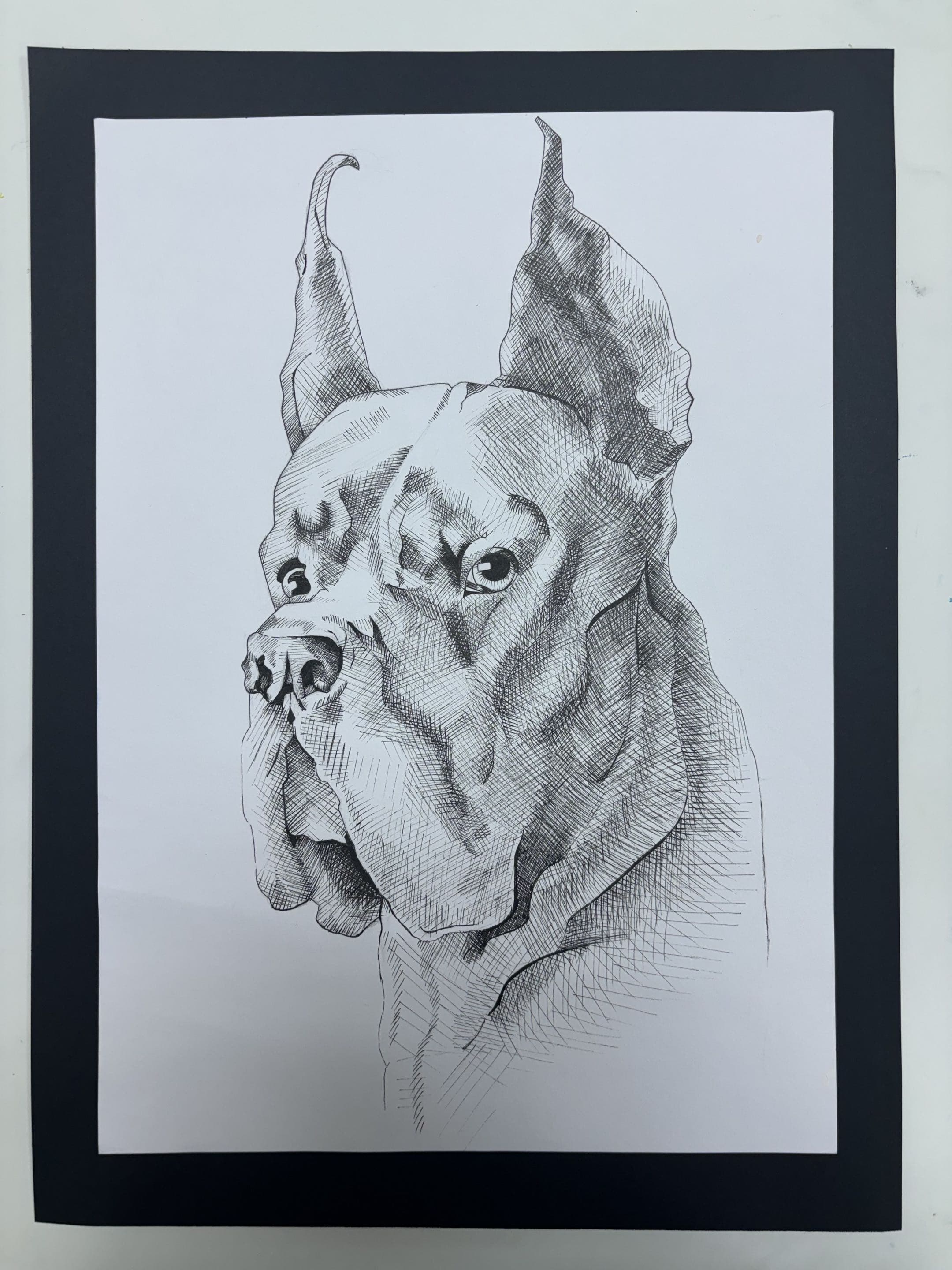 Animals view 2