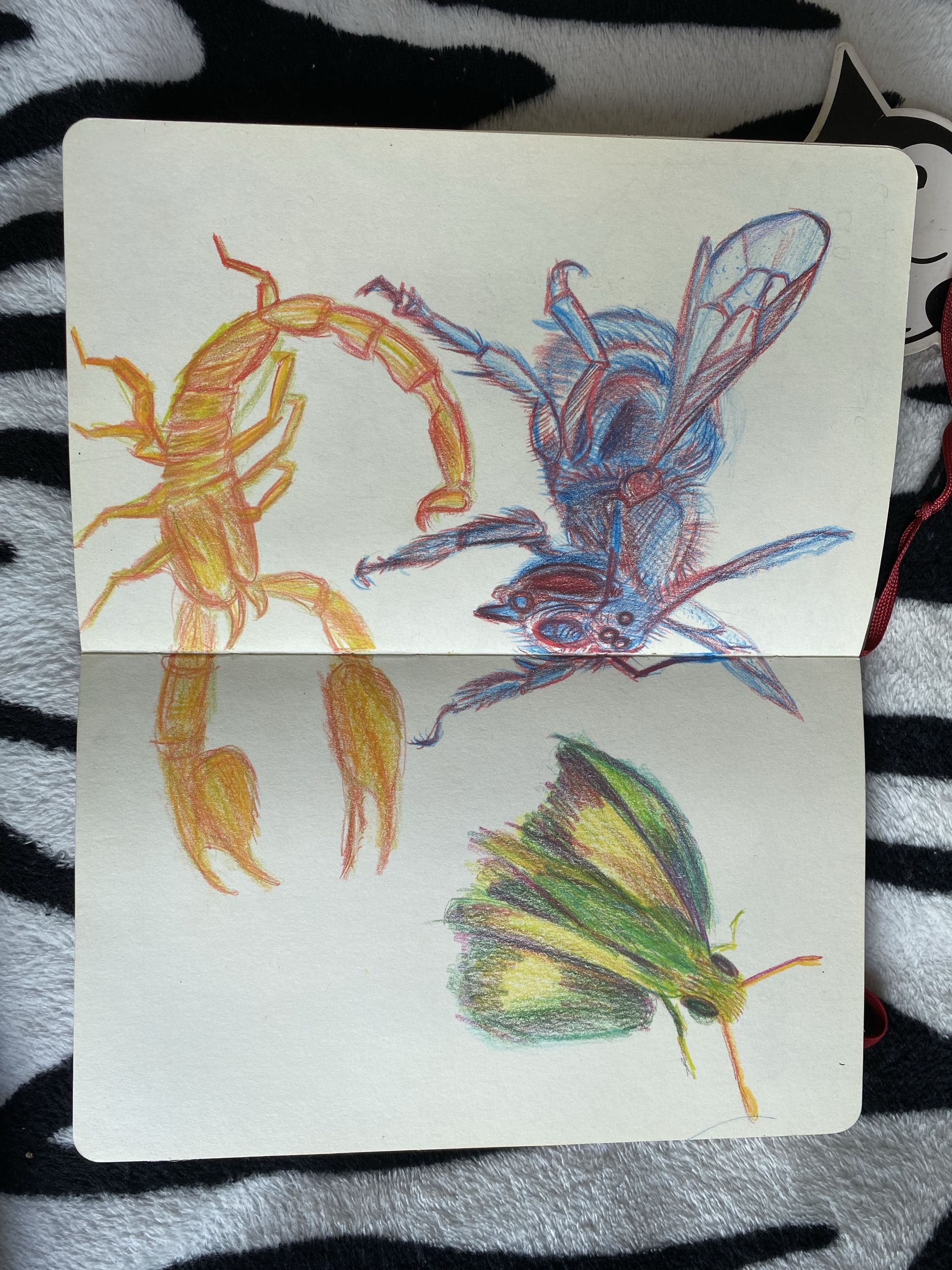 Animals view 3